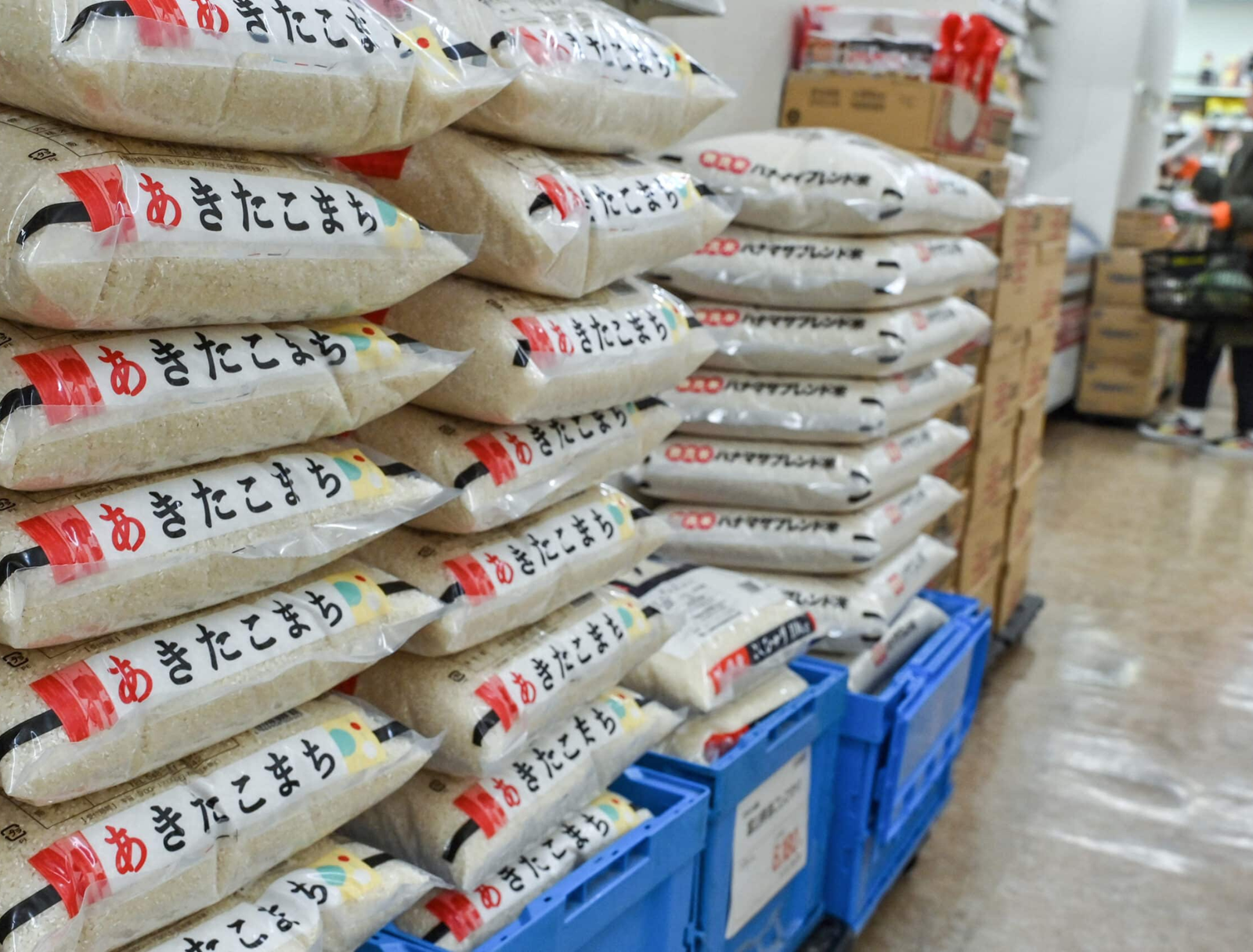 日本政府、備蓄米の入札条件を緩和へ：コメ不足回避と価格安定に向けた政策転換